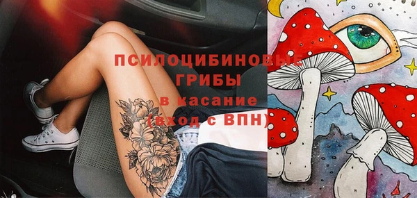первитин Алексеевка