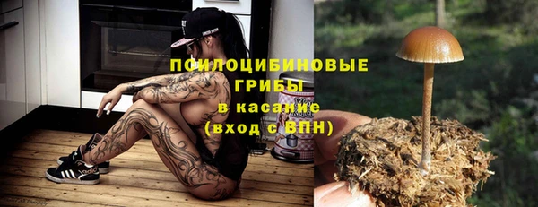 первитин Алексеевка